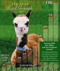 10 Year Alpaca Herd Growth - Start with 5 pregnant females, 2 wethers, females mated annually from 18mths of age, assuming 95% live births .... Ends with 126 alpacas! 10 Year Alpaca Herd Growth - Start with 5 pregnant females, 2 wethers, females mated annually from 18mths of age, assuming 95% live births .... Ends with 126 alpacas!