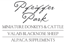 Pfeiffer Park Logo