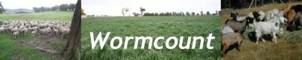 WORM TESTING - Wormcount WORM TESTING - Wormcount