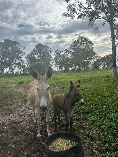 Maddox with mum Macy