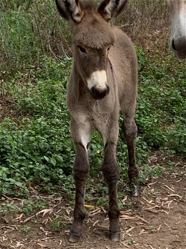 Maddox with mum Macy
