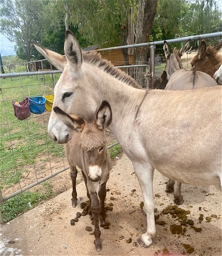 Maddox with mum Macy
