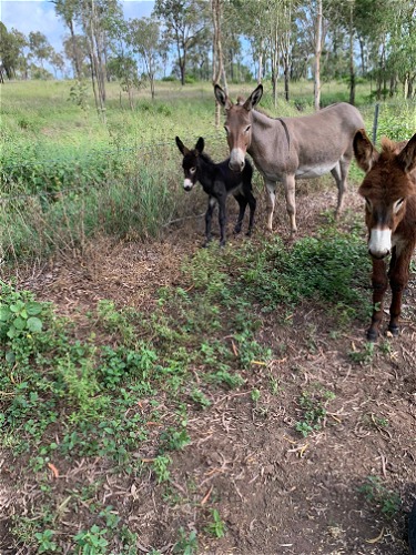 Sadie with Mum Sally