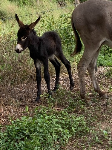 Sadie with Mum Sally