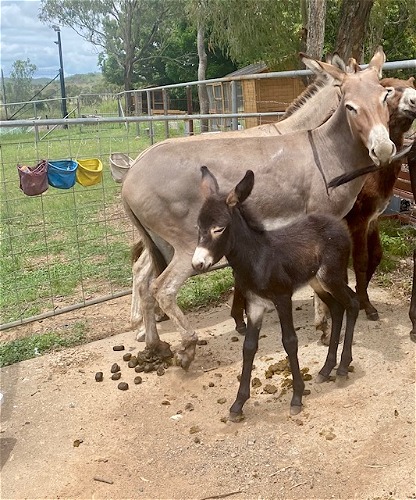 Sadie with Mum Sally
