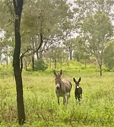 Sadie with Mum Sally